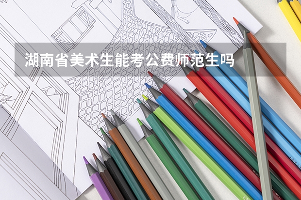 湖南省美术生能考公费师范生吗